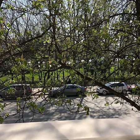 Viitoshka Sofia